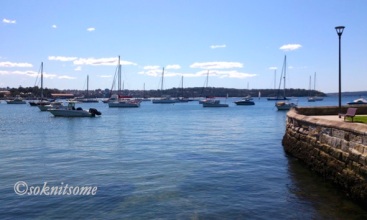 View of sailing boats in harbour. Elizabeth Bay.